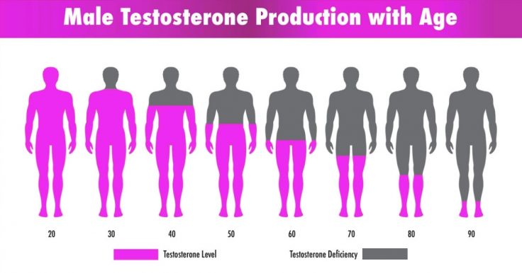 How Does Testosterone Level Affect Men Male Hormone Deficiency 