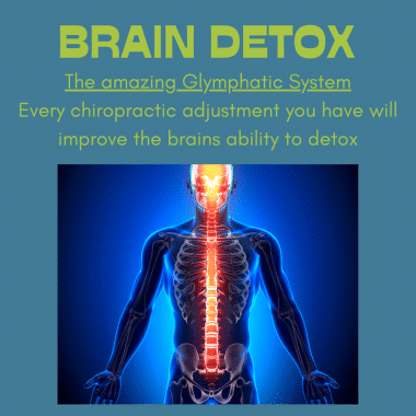 Brain Detox Glymphatic System